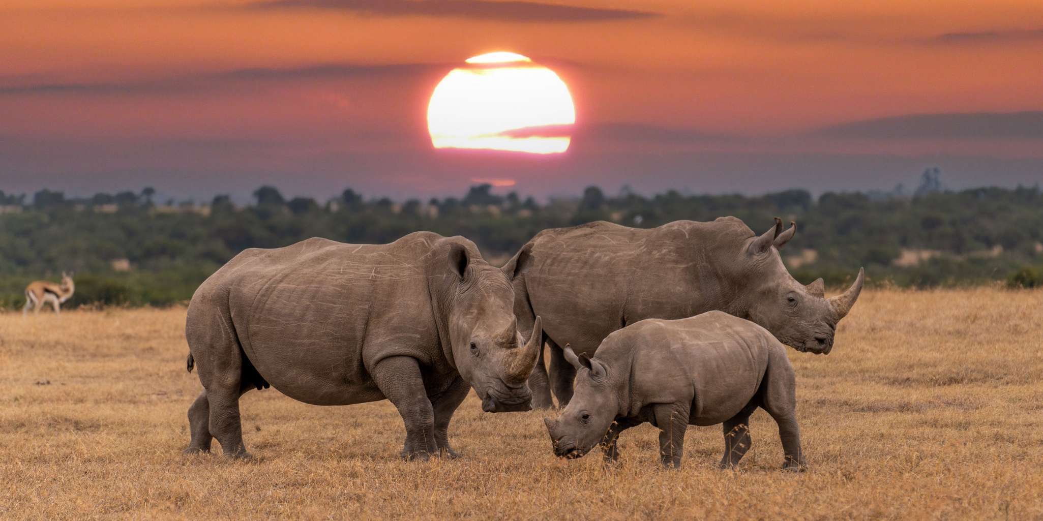 viaje a África