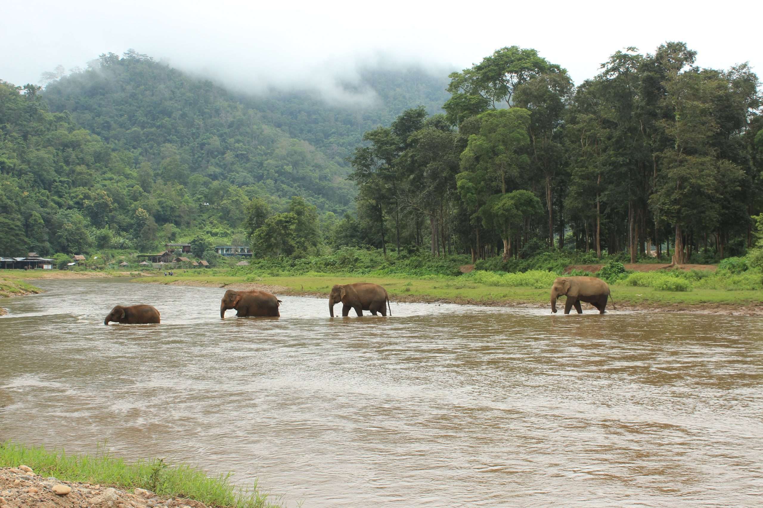viajar a África