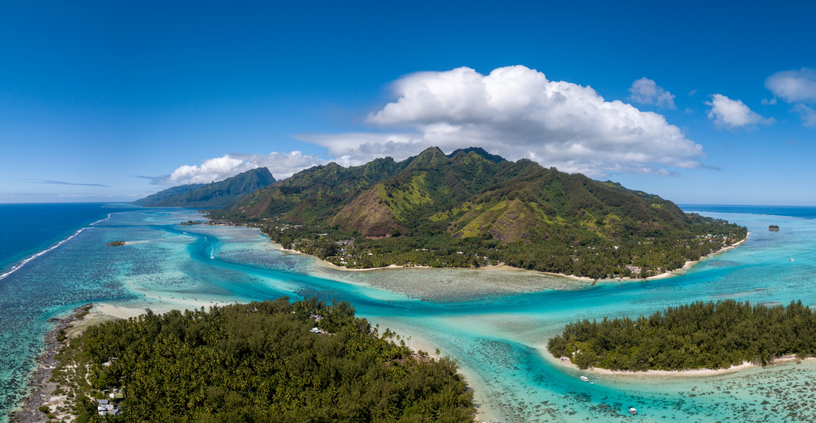 Tripo Image